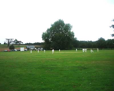 Peper Harow Cricket field